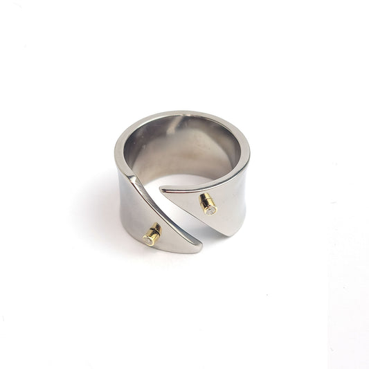 Titanium ring - Diamonds