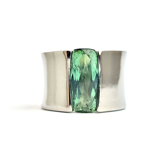 Titanium ring - Green Tourmaline
