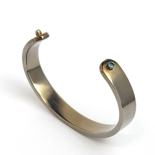 Titanium Bracelet - Diamonds